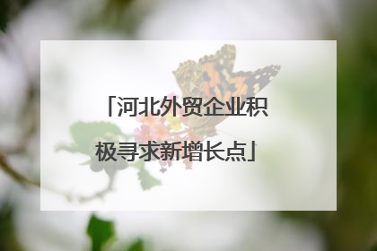河北外贸企业积极寻求新增长点