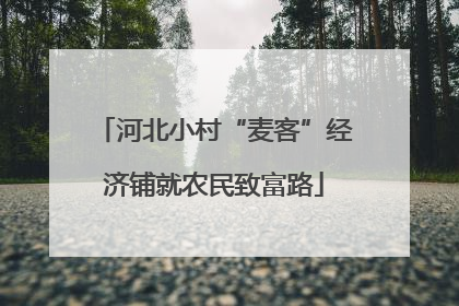 河北小村“麦客”经济铺就农民致富路