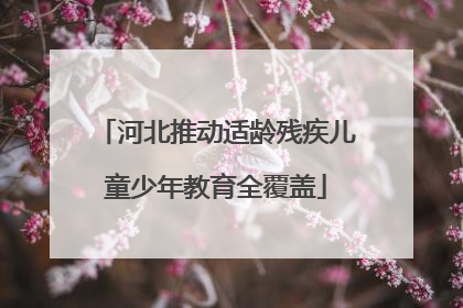 河北推动适龄残疾儿童少年教育全覆盖
