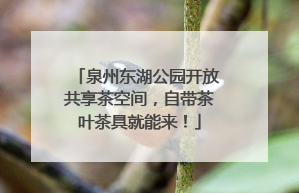 泉州东湖公园开放共享茶空间，自带茶叶茶具就能来！