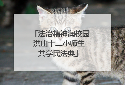 法治精神润校园 洪山十二小师生共学民法典