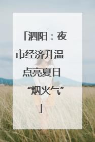 泗阳：夜市经济升温 点亮夏日“烟火气”
