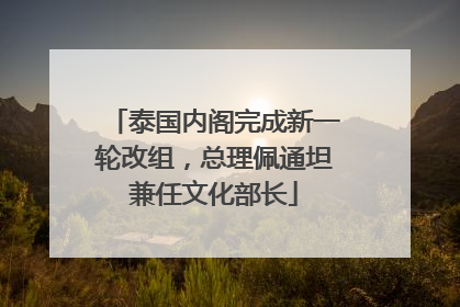 泰国内阁完成新一轮改组，总理佩通坦兼任文化部长