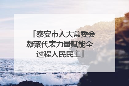 泰安市人大常委会凝聚代表力量赋能全过程人民民主