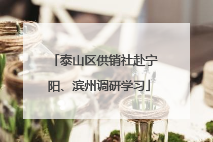 泰山区供销社赴宁阳、滨州调研学习