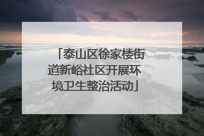 泰山区徐家楼街道新峪社区开展环境卫生整治活动