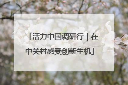 活力中国调研行｜在中关村感受创新生机