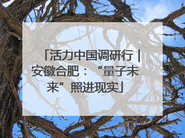 活力中国调研行｜安徽合肥：“量子未来”照进现实