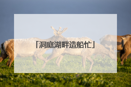 洞庭湖畔造船忙