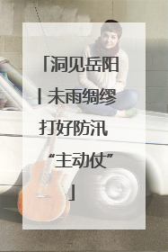 洞见岳阳丨未雨绸缪 打好防汛“主动仗”
