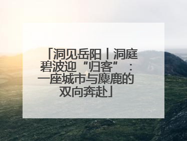 洞见岳阳丨洞庭碧波迎“归客”：一座城市与麋鹿的双向奔赴