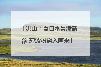 洪山：夏日水景添新韵 碧波粉黛入画来
