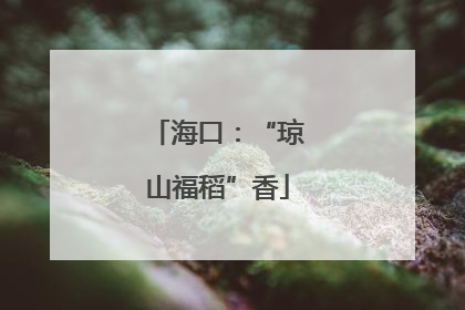 海口：“琼山福稻”香