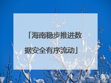 海南稳步推进数据安全有序流动