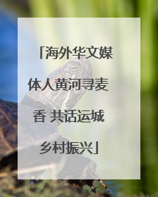 海外华文媒体人黄河寻麦香 共话运城乡村振兴