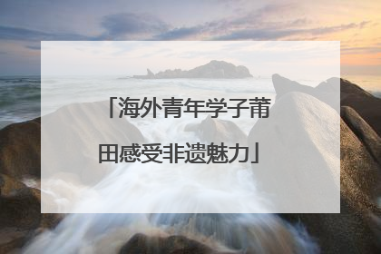 海外青年学子莆田感受非遗魅力