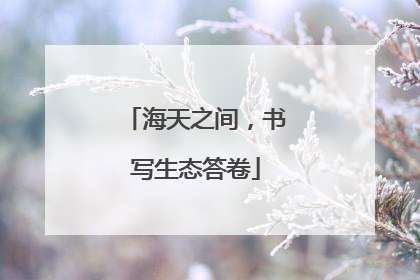 海天之间，书写生态答卷