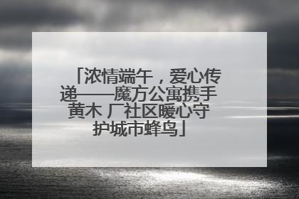 浓情端午，爱心传递——魔方公寓携手黄木 厂社区暖心守护城市蜂鸟