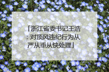 浙江省委书记王浩：对顶风违纪行为从严从重从快处理