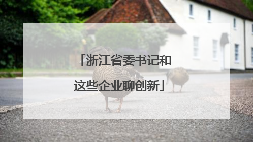 浙江省委书记和这些企业聊创新