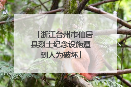 浙江台州市仙居县烈士纪念设施遭到人为破坏
