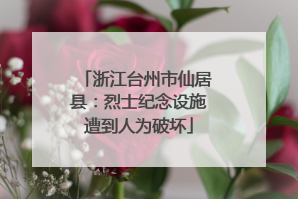 浙江台州市仙居县：烈士纪念设施遭到人为破坏