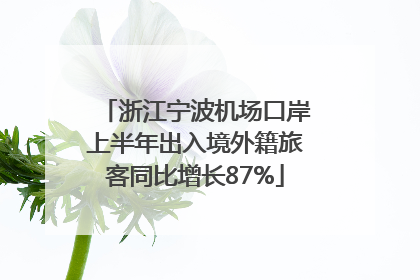 浙江宁波机场口岸上半年出入境外籍旅客同比增长87%