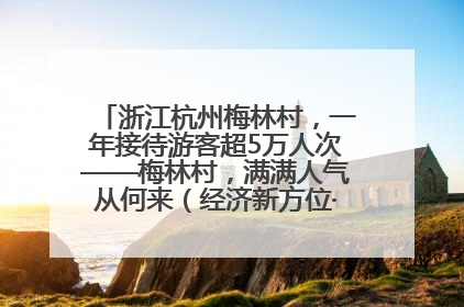 浙江杭州梅林村，一年接待游客超5万人次——梅林村，满满人气从何来（经济新方位·农村消费观察）
