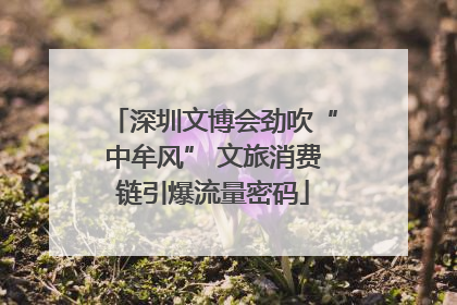 深圳文博会劲吹“中牟风” 文旅消费链引爆流量密码