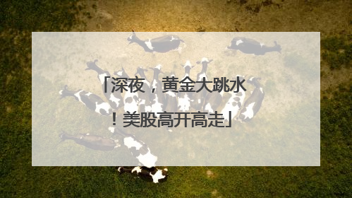 深夜，黄金大跳水！美股高开高走