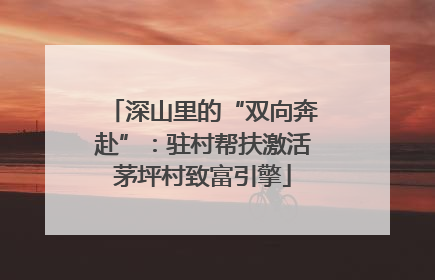 深山里的“双向奔赴”：驻村帮扶激活茅坪村致富引擎