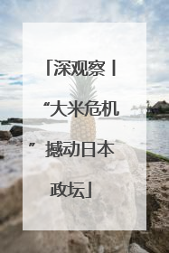 深观察丨“大米危机”撼动日本政坛