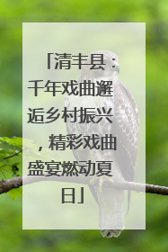 清丰县：千年戏曲邂逅乡村振兴，精彩戏曲盛宴燃动夏日