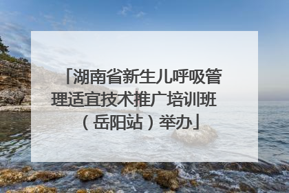湖南省新生儿呼吸管理适宜技术推广培训班（岳阳站）举办