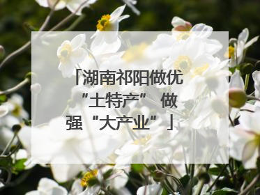 湖南祁阳做优“土特产” 做强“大产业”