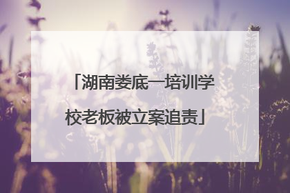 湖南娄底一培训学校老板被立案追责