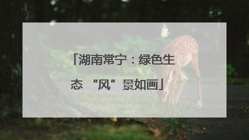 湖南常宁：绿色生态 “风”景如画