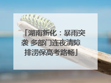 湖南新化：暴雨突袭 多部门连夜清障排涝保高考路畅