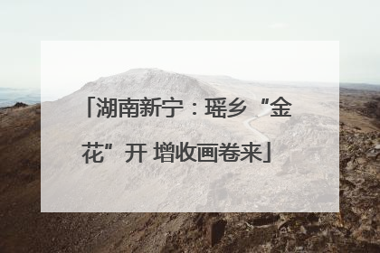 湖南新宁：瑶乡“金花”开 增收画卷来