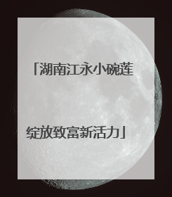 湖南江永小碗莲绽放致富新活力