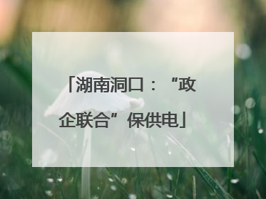 湖南洞口：“政企联合”保供电