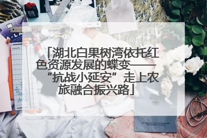 湖北白果树湾依托红色资源发展的蝶变——“抗战小延安”走上农旅融合振兴路