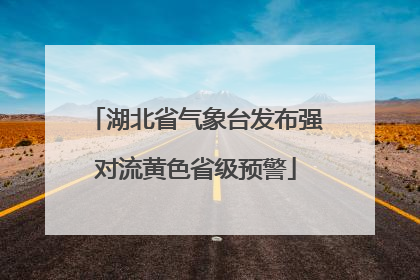 湖北省气象台发布强对流黄色省级预警