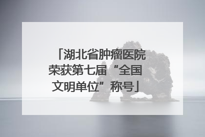 湖北省肿瘤医院荣获第七届“全国文明单位”称号