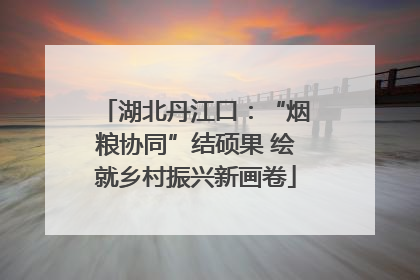 湖北丹江口：“烟粮协同”结硕果 绘就乡村振兴新画卷