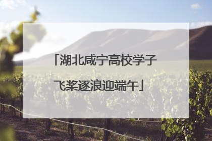 湖北咸宁高校学子飞桨逐浪迎端午