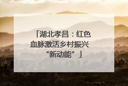 湖北孝昌：红色血脉激活乡村振兴“新动能”