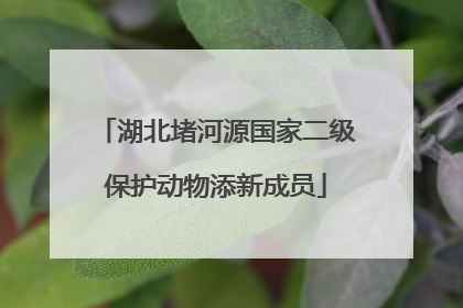 湖北堵河源国家二级保护动物添新成员