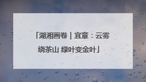 湖湘画卷｜宜章：云雾绕茶山 绿叶变金叶