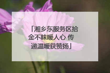 湘乡东服务区拾金不昧暖人心 传递温暖获赞扬